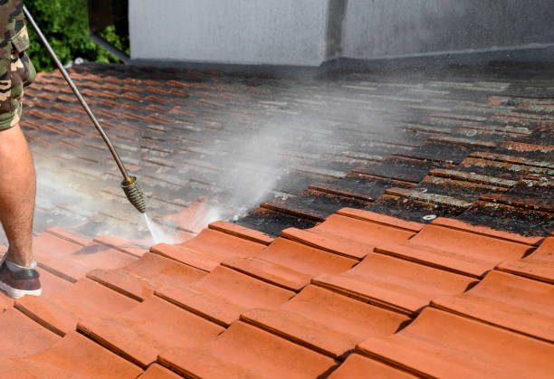 Best Residential Pressure Washing Services  in Dewitt, IA