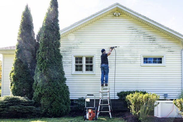 Best Affordable Power Washing  in Dewitt, IA