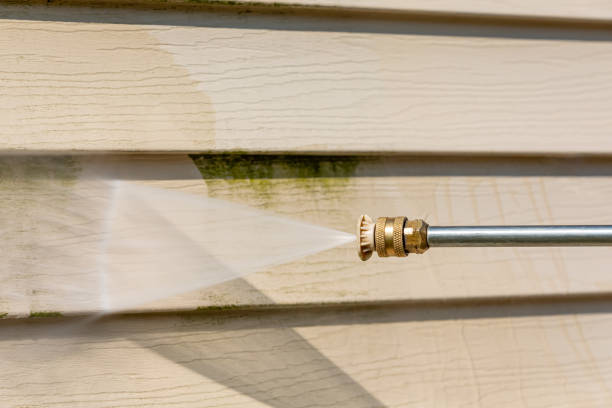 Best Local Pressure Washing Services  in Dewitt, IA